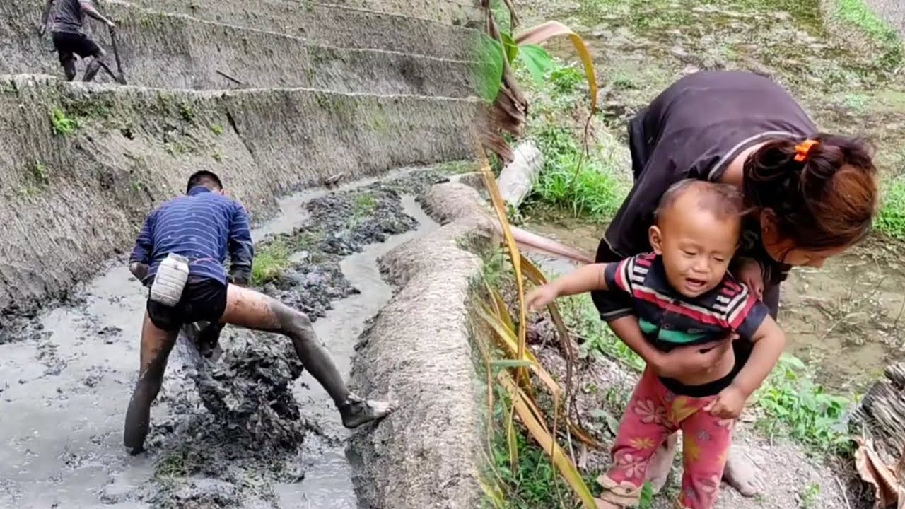 Poor but happy life, Naga farmers working in Paddy field, Village life in Nagaland