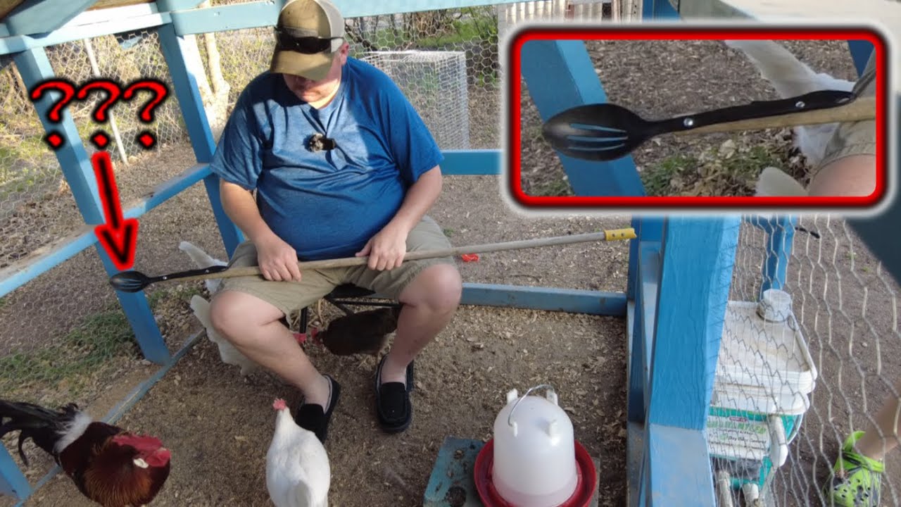 Back Yard Engineering An Egg Gathering Stick For The Chicken Pen