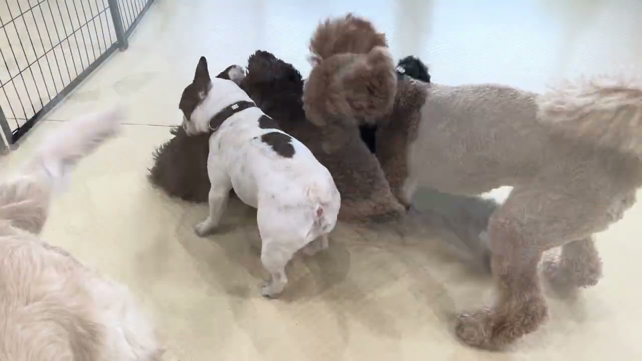 2026.02.10フリータイムの様子