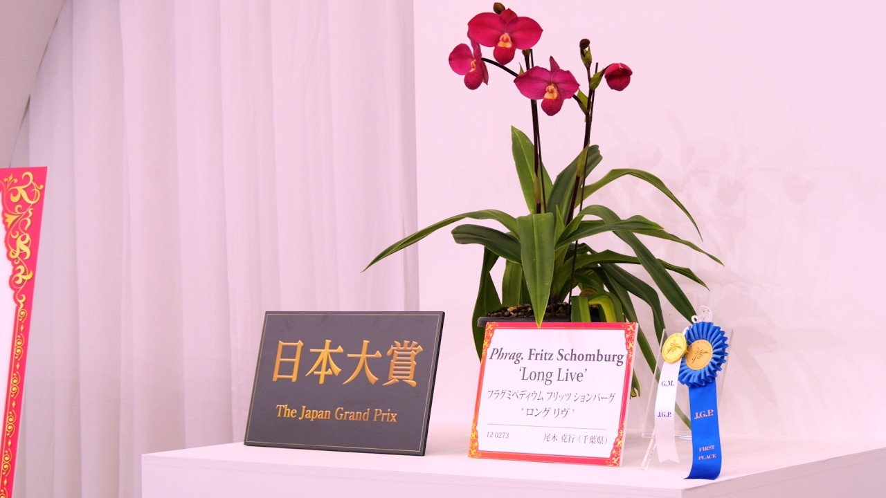 世界らん展2026 花と緑の祭典 Japan Grand Prix International Orchid and Flower Show. Feb 2066