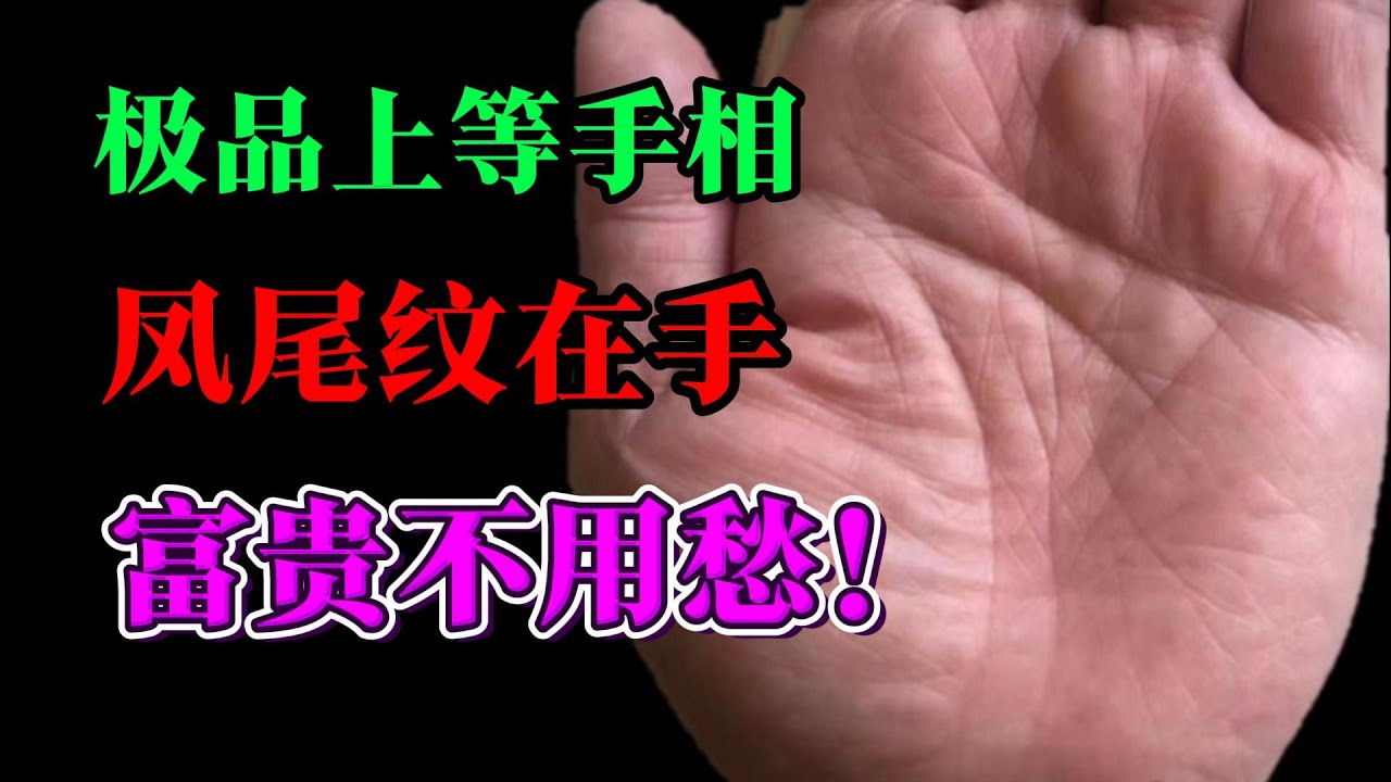 極品上等手相，鳳尾紋在手，富貴不用愁！