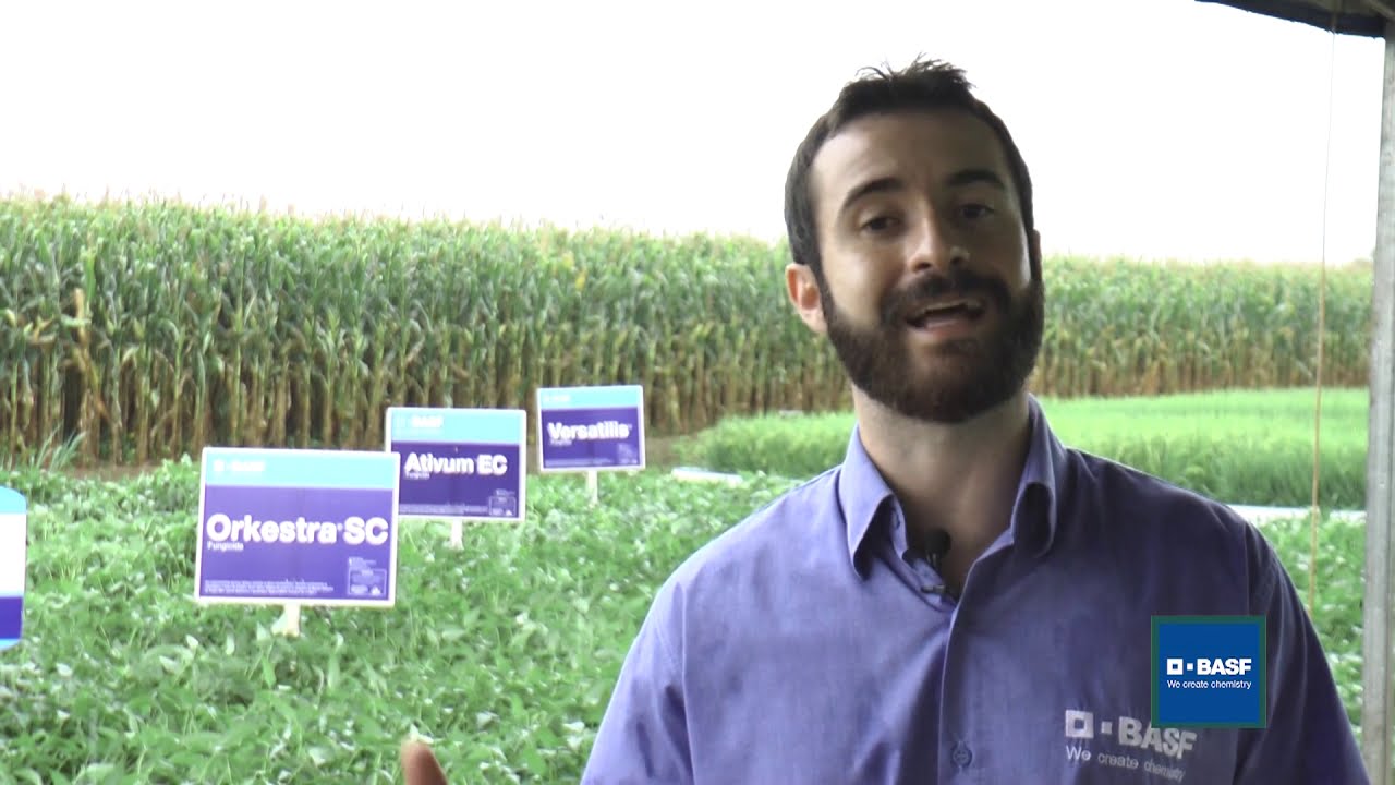 Vitrine Soja - BASF Proteção de Cultivos 1