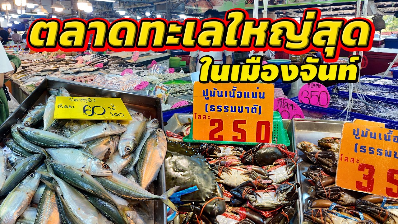 ตลาดอาหารทะเลใหญ่จันทบุรี ไม่ต้องตื่นเช้า ไม่ต้องไปไกลถึงริมทะเล ยกมาให้ครบที่เดียว @Fin A Dii Channel