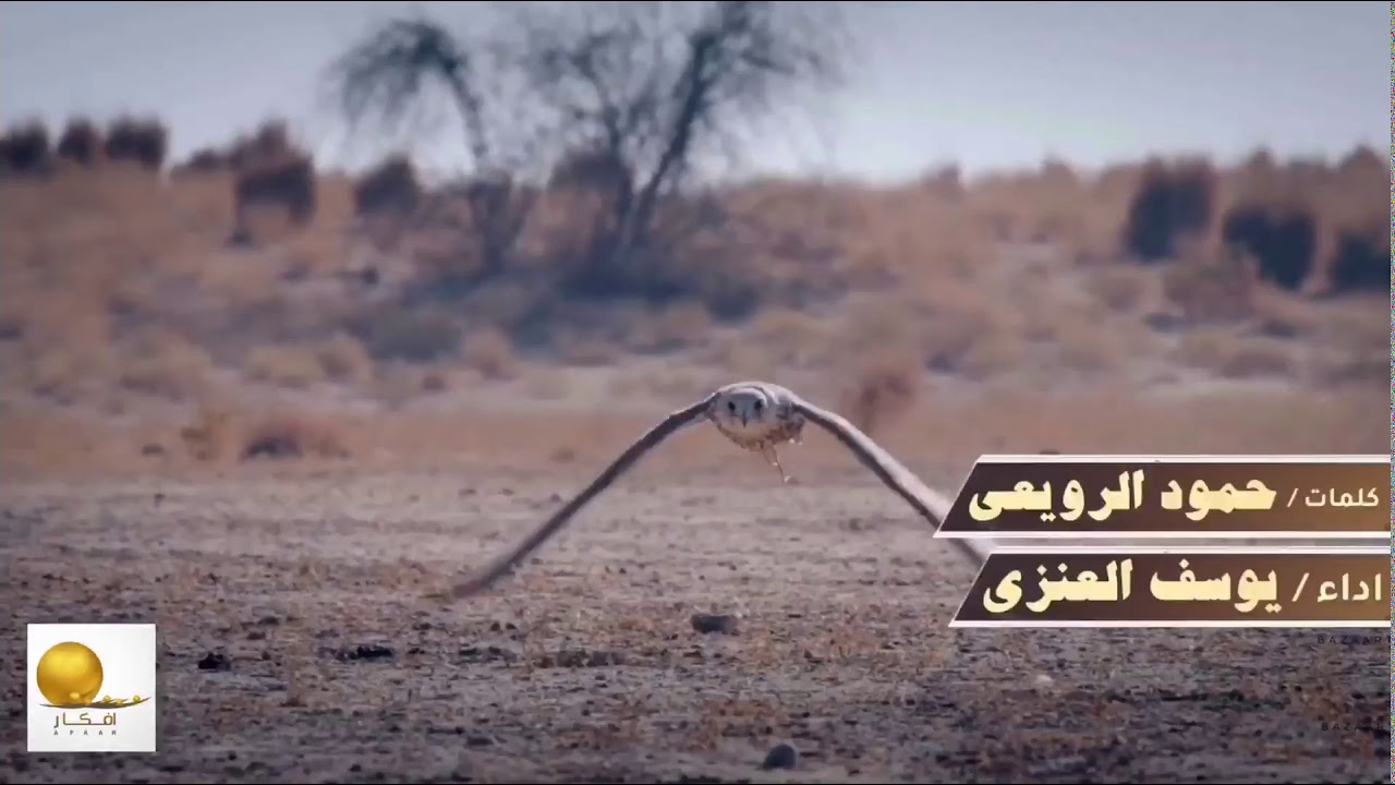 شيلة يارشيد زان الوقت 2020 || كلمات حمود الرويعي || اداء يوسف العنزي || تنفيذ : قناة افكار