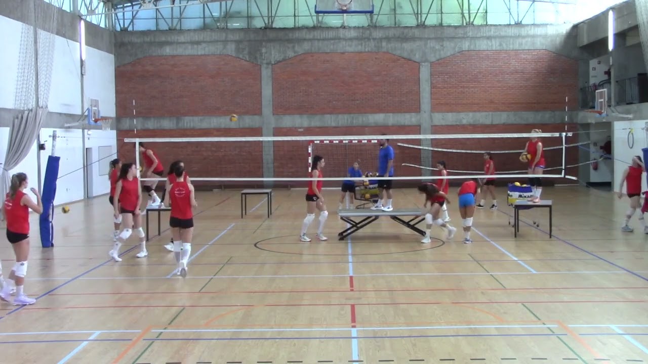 Treino 20240624   Tarde