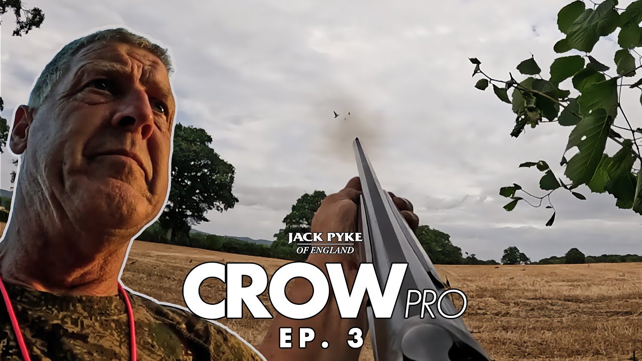 CROWpro EP 3 - Энди Кроу отстреливает голубей | Тактика скрытности | Отстрел голубей | Борьба с в...