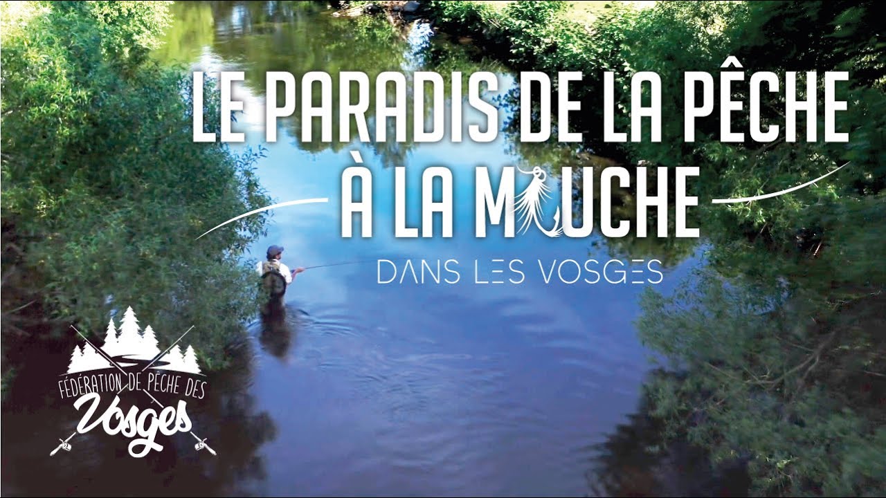 Le Paradis de la Pêche à la Mouche dans les Vosges