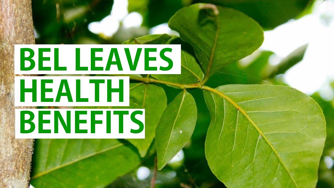 Discovering the Surprising Health Benefits of Bel Leaves