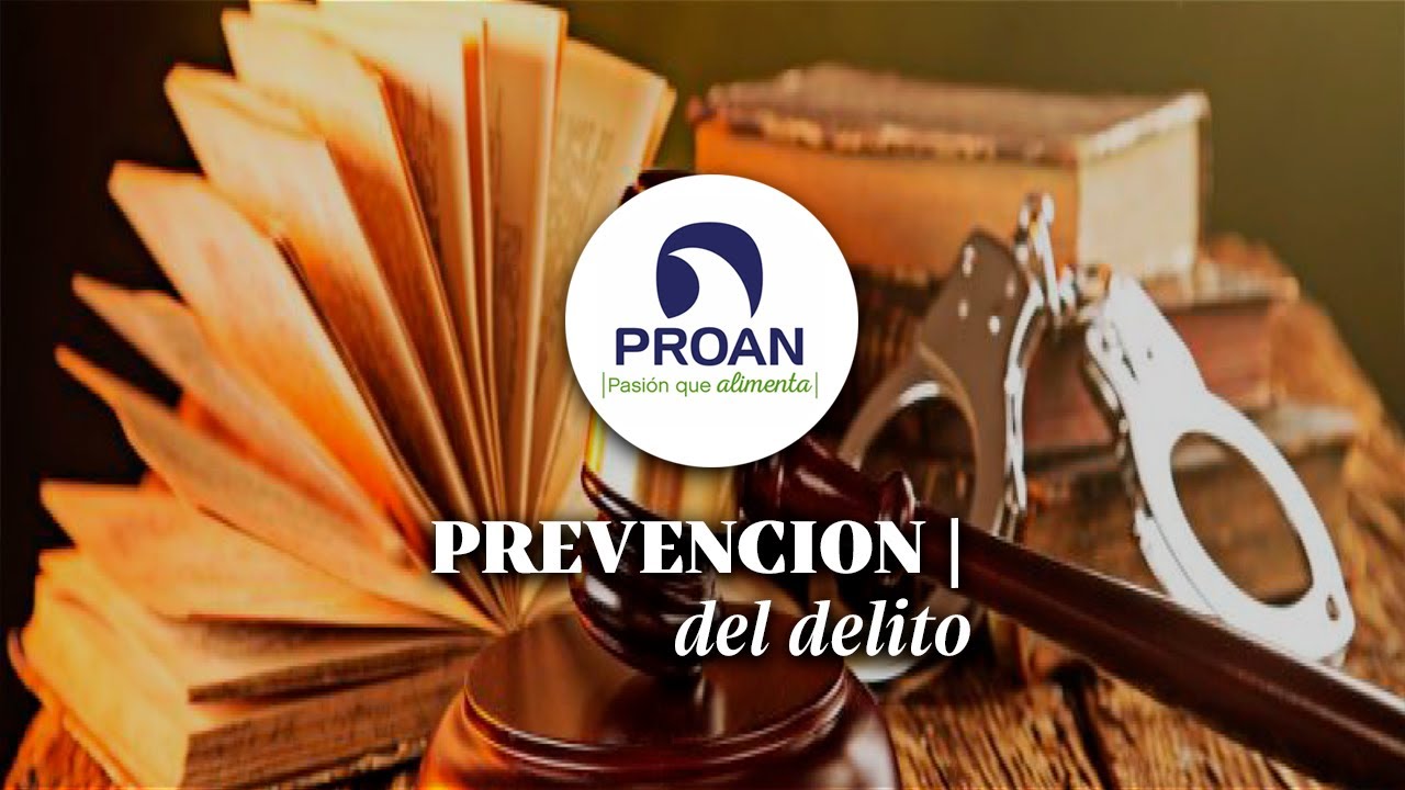 PREVENCION DEL DELITO | Introducci&oacute;n