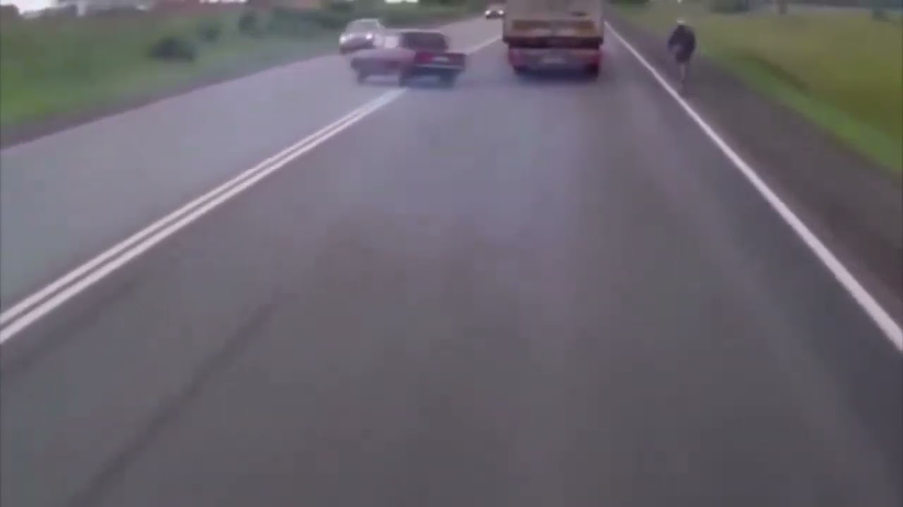 Destruction promised, destruction delivered 💥🦭#vehicledestruction #carcrash #accident #dashcam