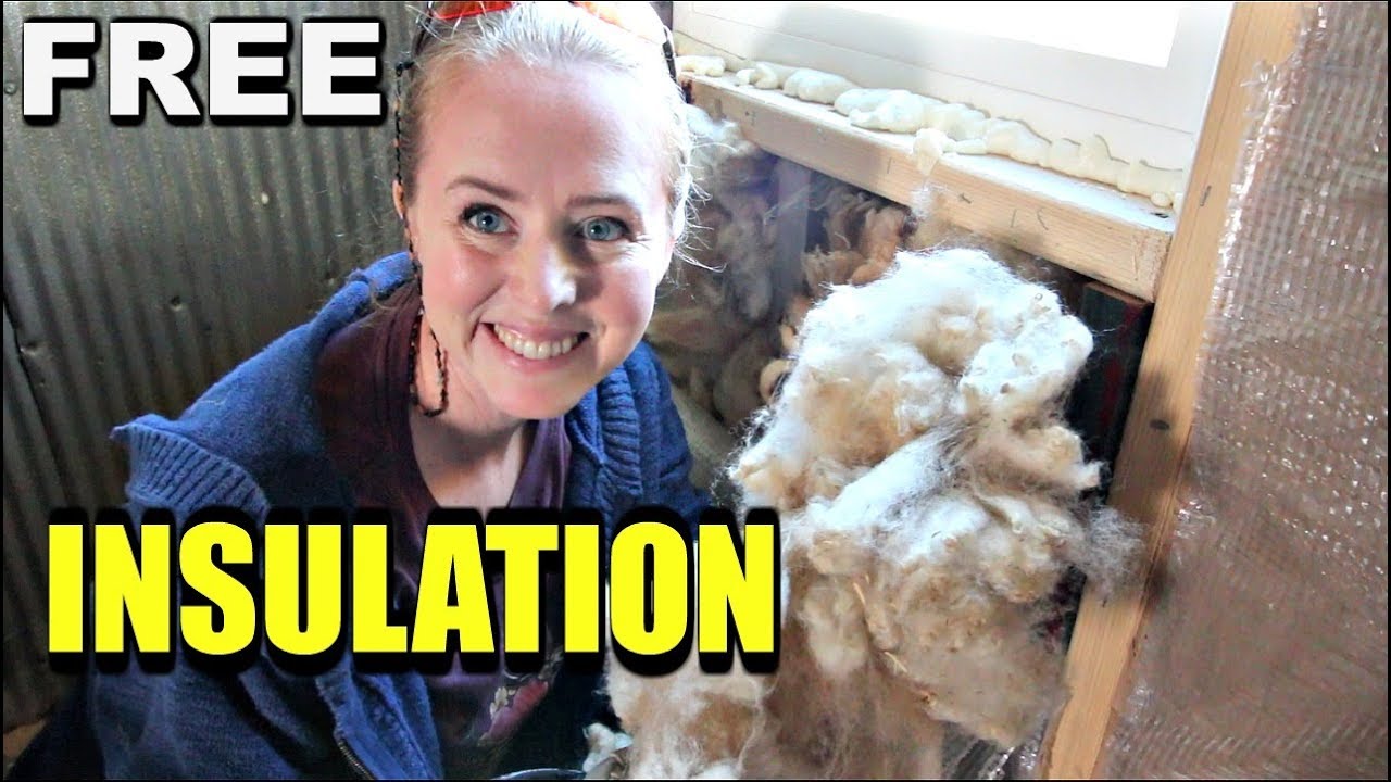 Finally Experimenting With WOOL INSULATION!