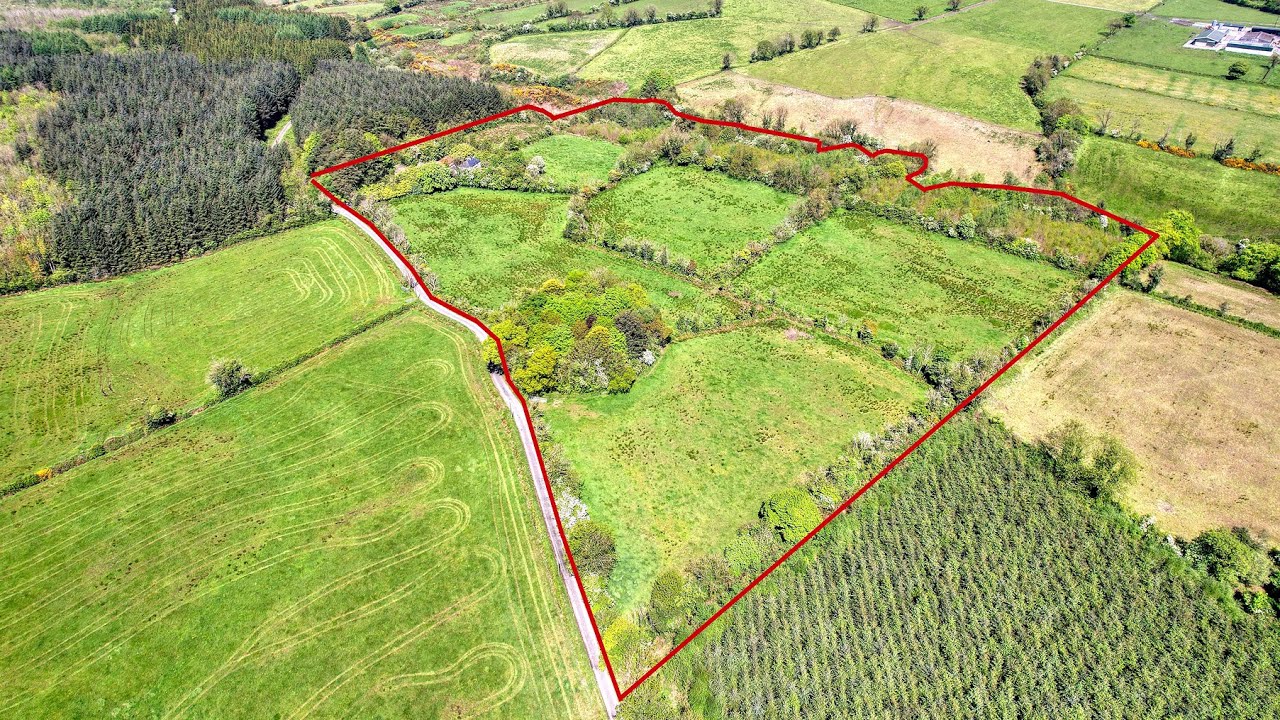 Lislea, Ballinalee, Co. Longford - Residential Farm of 16.3 acres