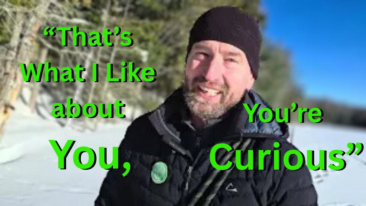 The One about Nature Curiosity, Imbolc and an Old White Pine.