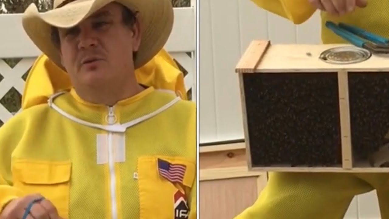 How to install a bee package