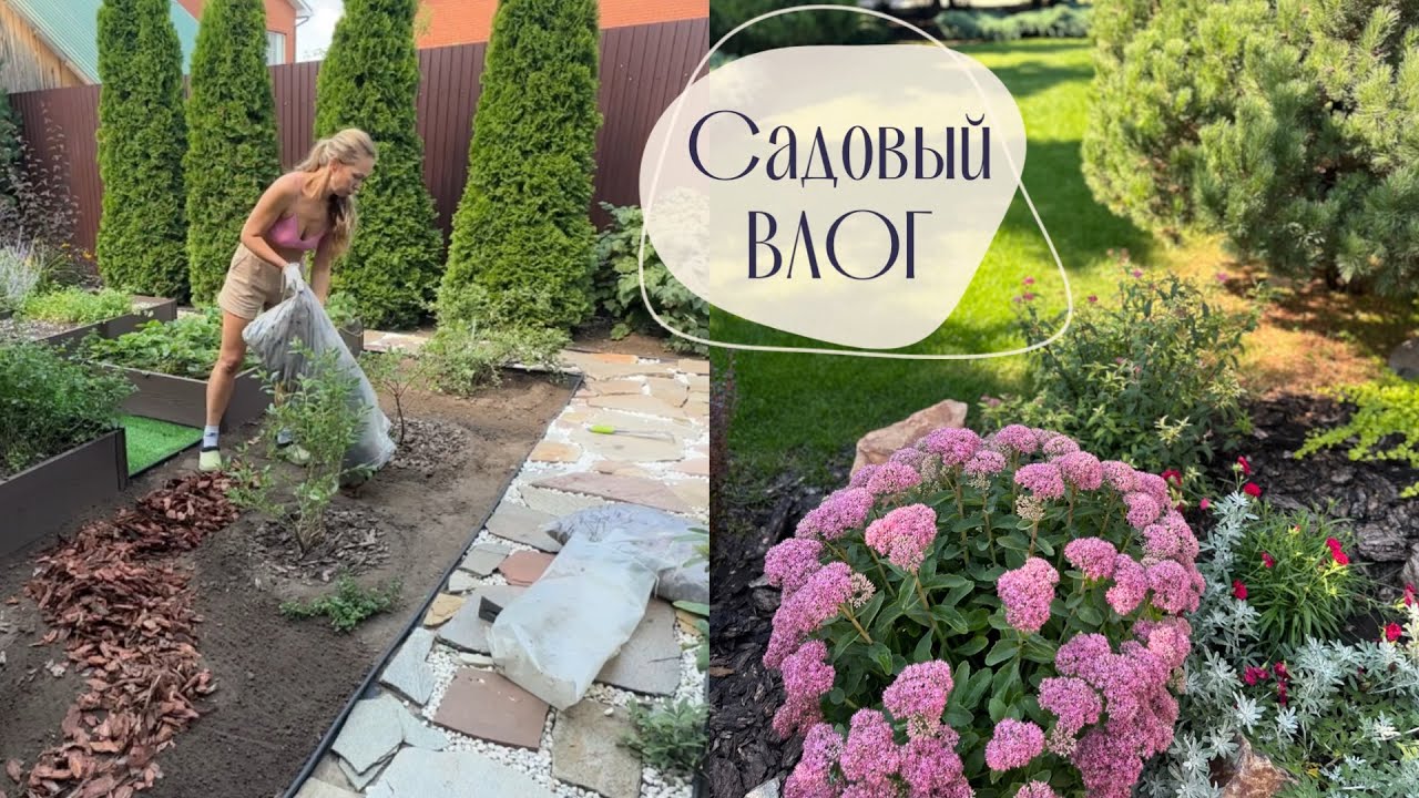 Садовый влог. Дорожки своими руками, высокие грядки, цветы, благоустройство