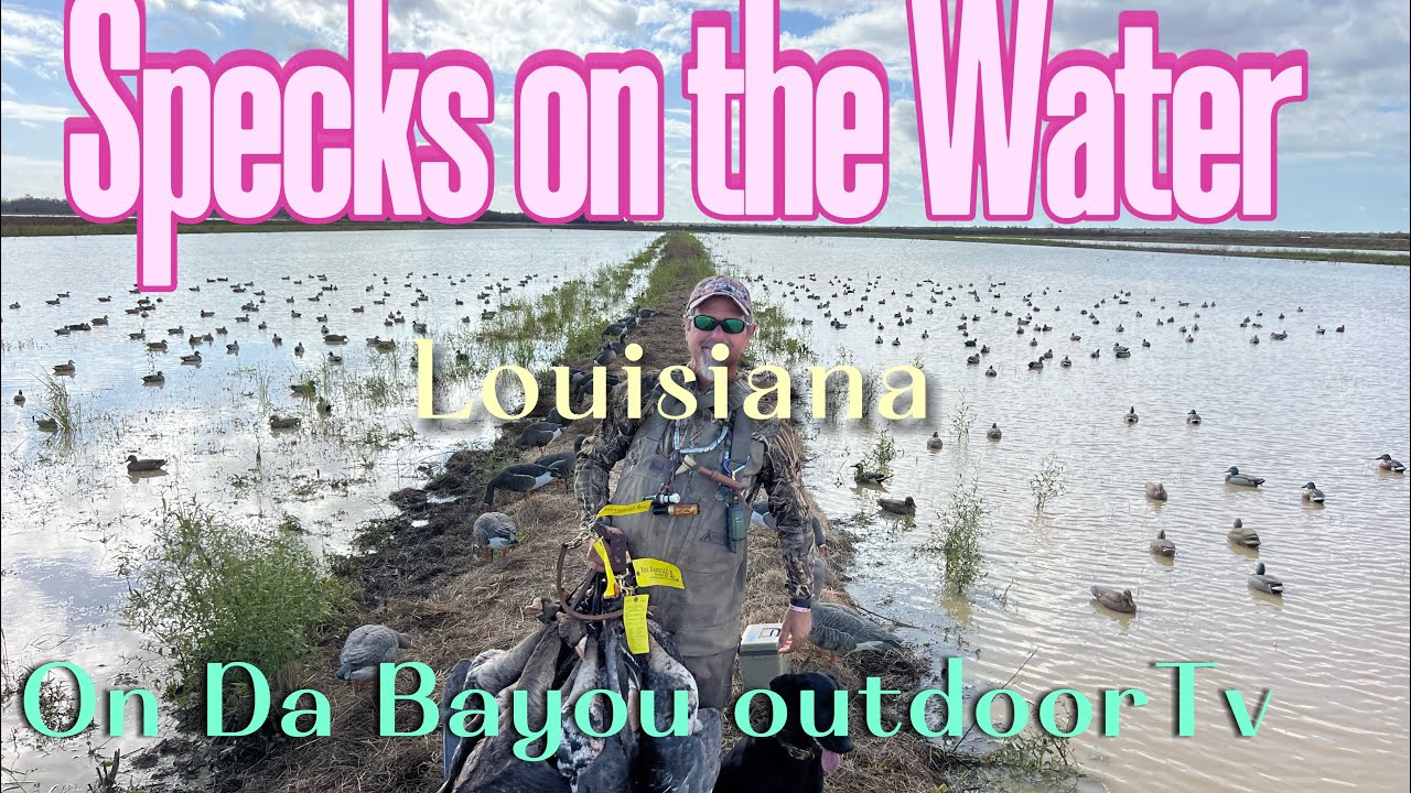 Specks on the water