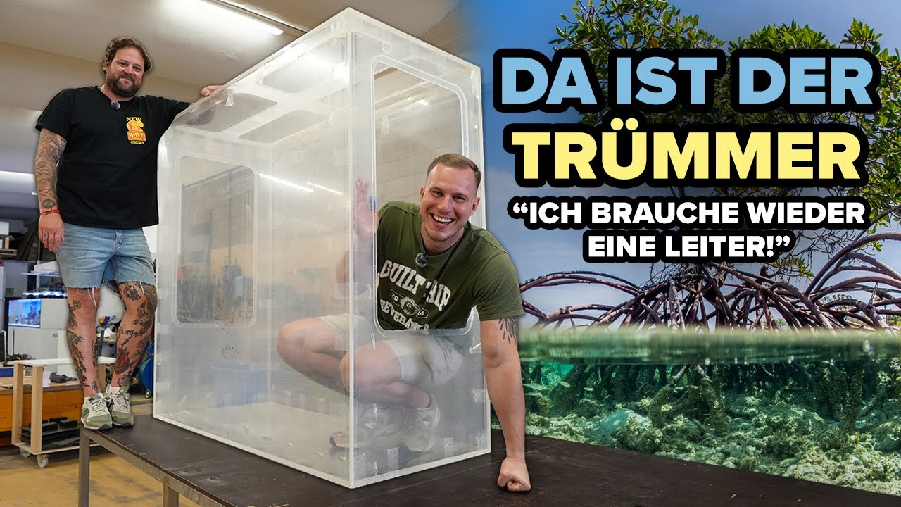 LOS GEHT'S! - Wir bauen das Paludarium (fast) selbst! - Ist es wieder ZU GROSS?! 😱