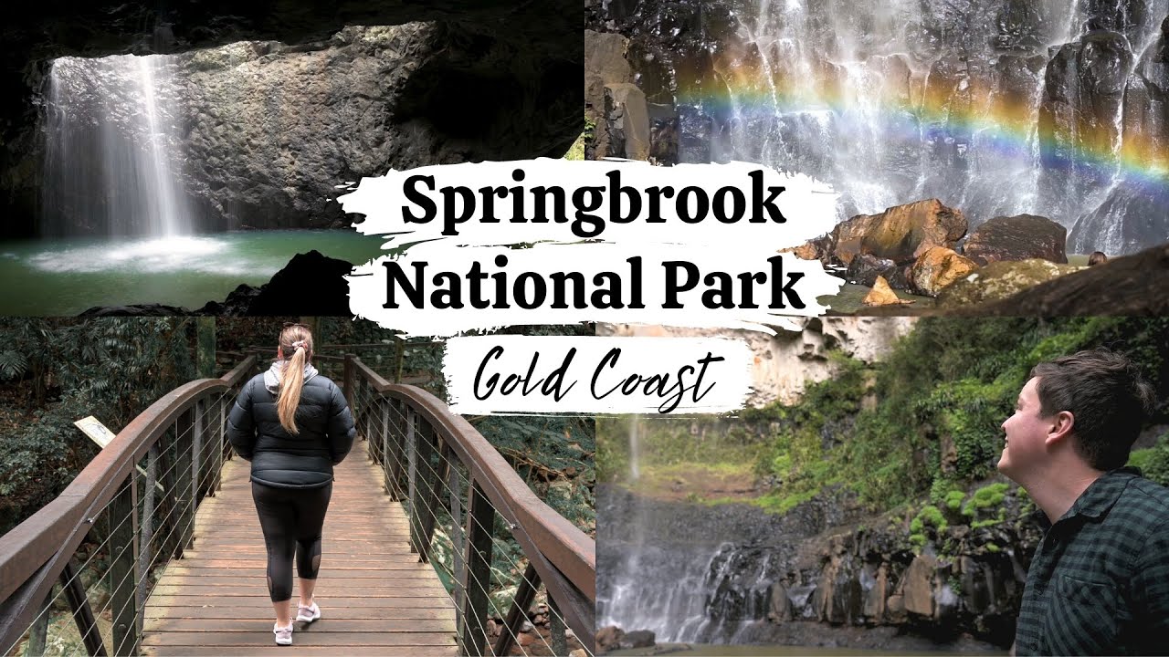 Springbrook National Park || The Best Waterfalls on the Gold Coast!!