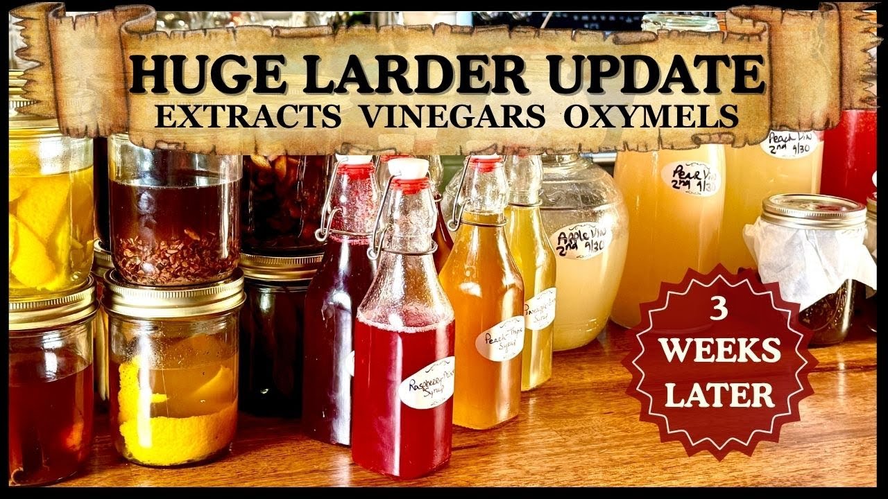 What 3 Weeks Did to My Homemade Vinegars, Oxymels & Herbal Extracts