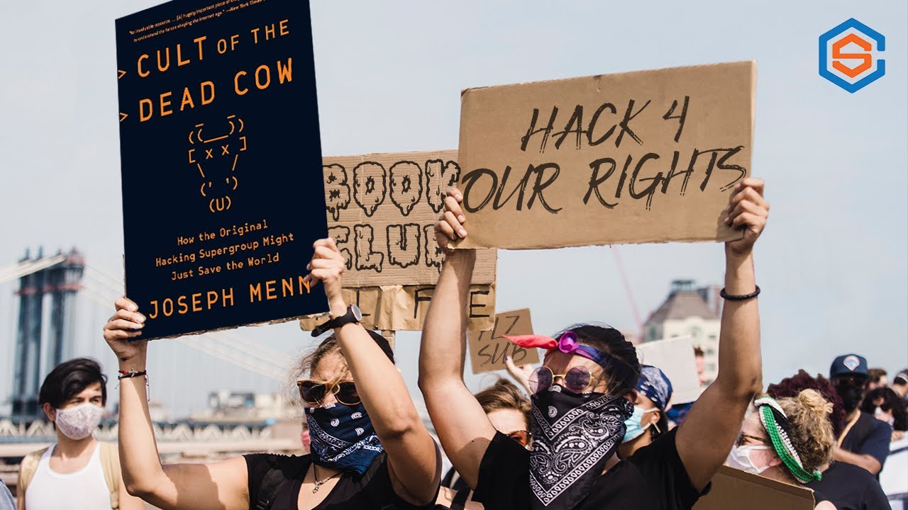 Why are HACKERS going to Congress?