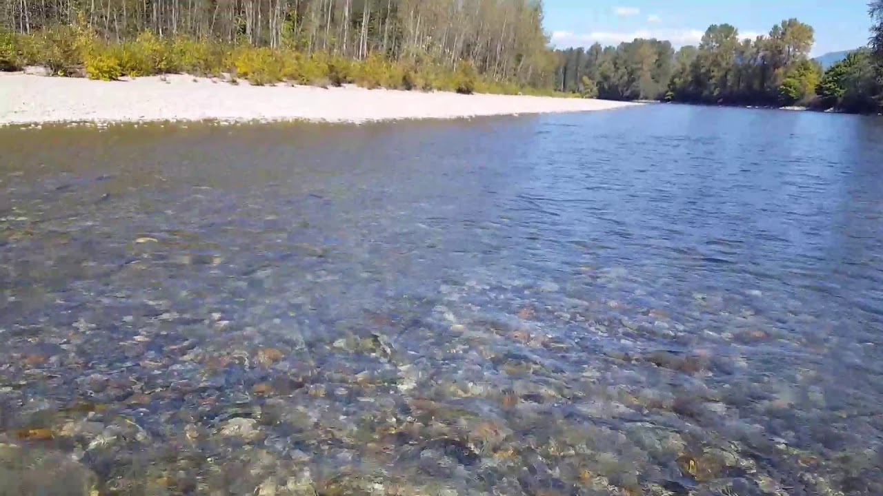 Sultan and Skukomish rivers, Snohomish county (Sultan) WA, USA