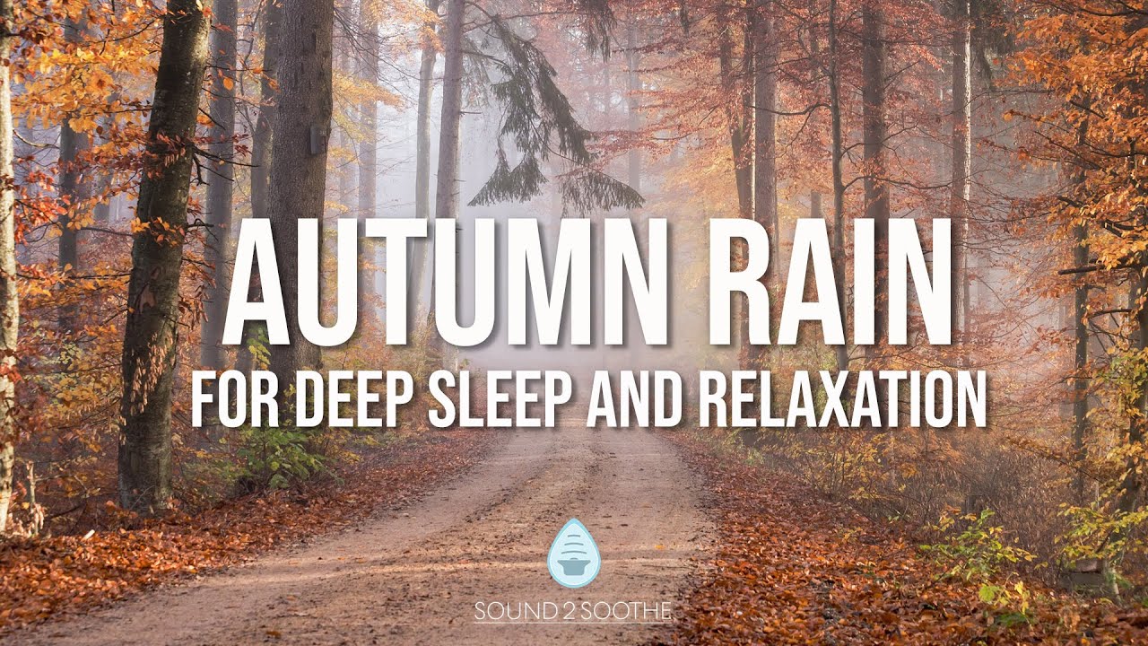 Autumn Rain Sounds for Sleep | Relaxing White Noise for Deep  Rest & Stress Relief