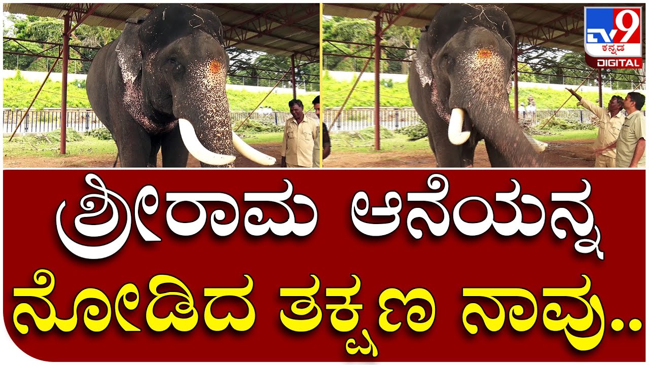 SriRama: ಶ್ರೀರಾಮ ಆನೆಯ ಯಾಕೆ ಸೆಲೆಕ್ಟ್ ಮಾಡಿದ್ವಿ ಅಂದ್ರೆ... | Tv9 Kannada