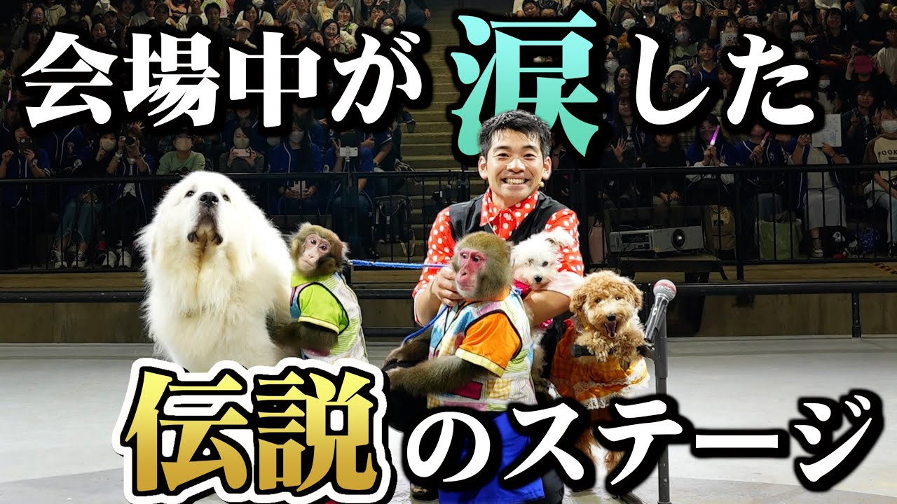 過去最高に盛り上がった「伝説のステージ」…お猿さんと犬の絆は涙なしでは見られません
