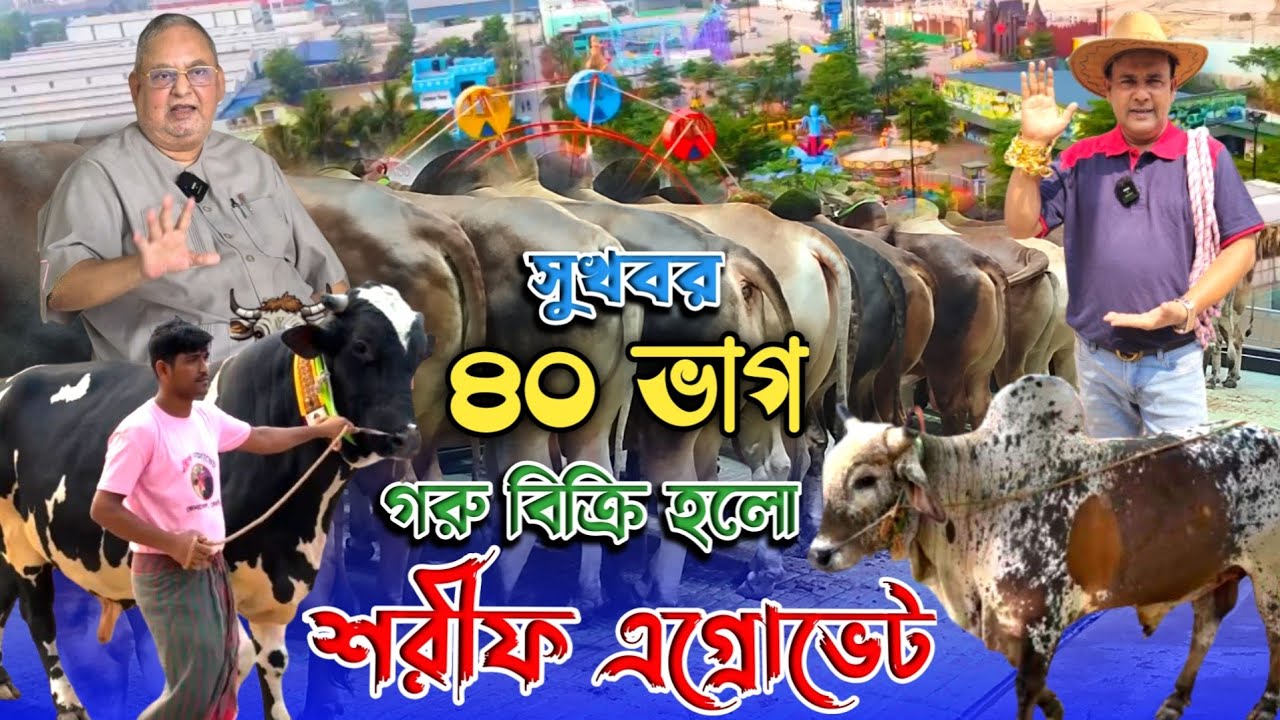 আলহামদুলিল্লাহ! প্রায় ৪০ ভাগ গরু বিক্রি হলো! শরিফ এগ্রোভেট! qurbani cow price 2025