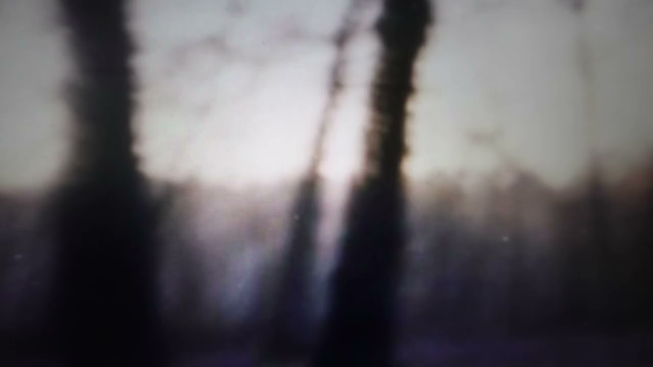 crvshed cephlopod - Buried in nowhere