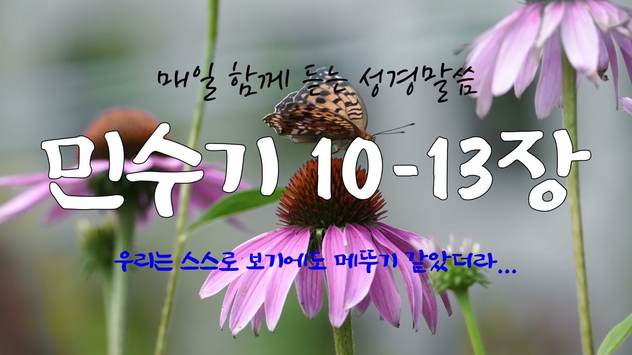 민수기 10-13장 (개역개정) 매일 듣는 365일 통독