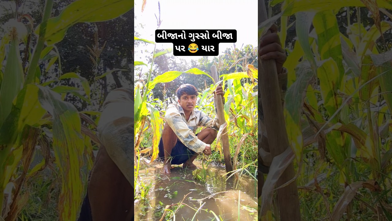 બીજા પર 😂🤪😂