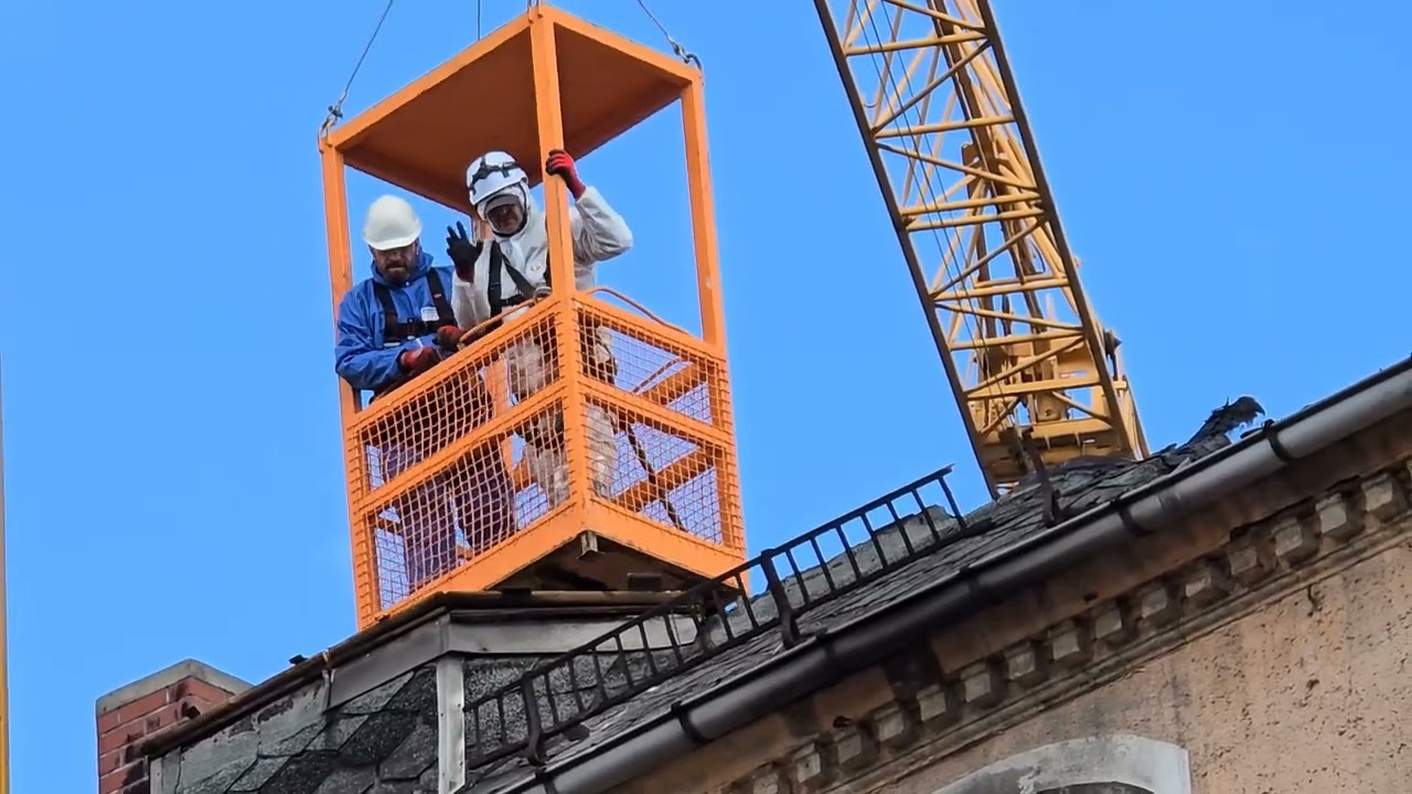 Abrissarbeiten in der Großen Steinstraße in Halle (Saale)