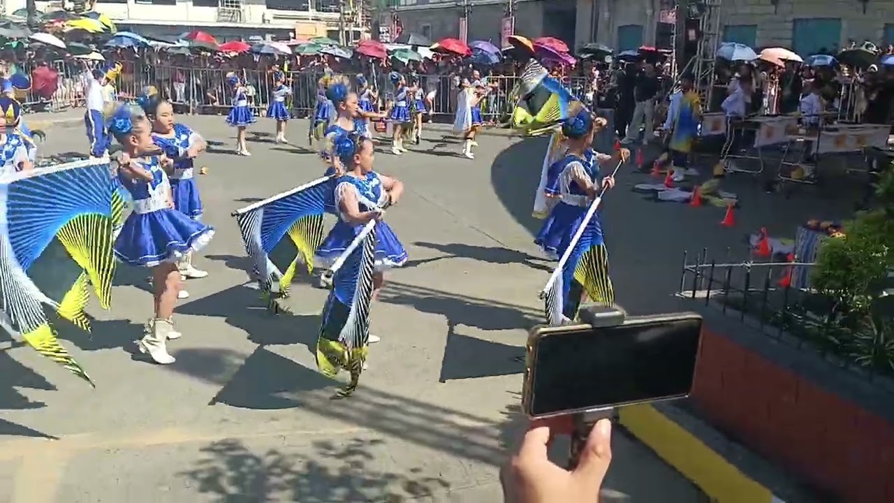 3rd consecutive year of grand champion olles