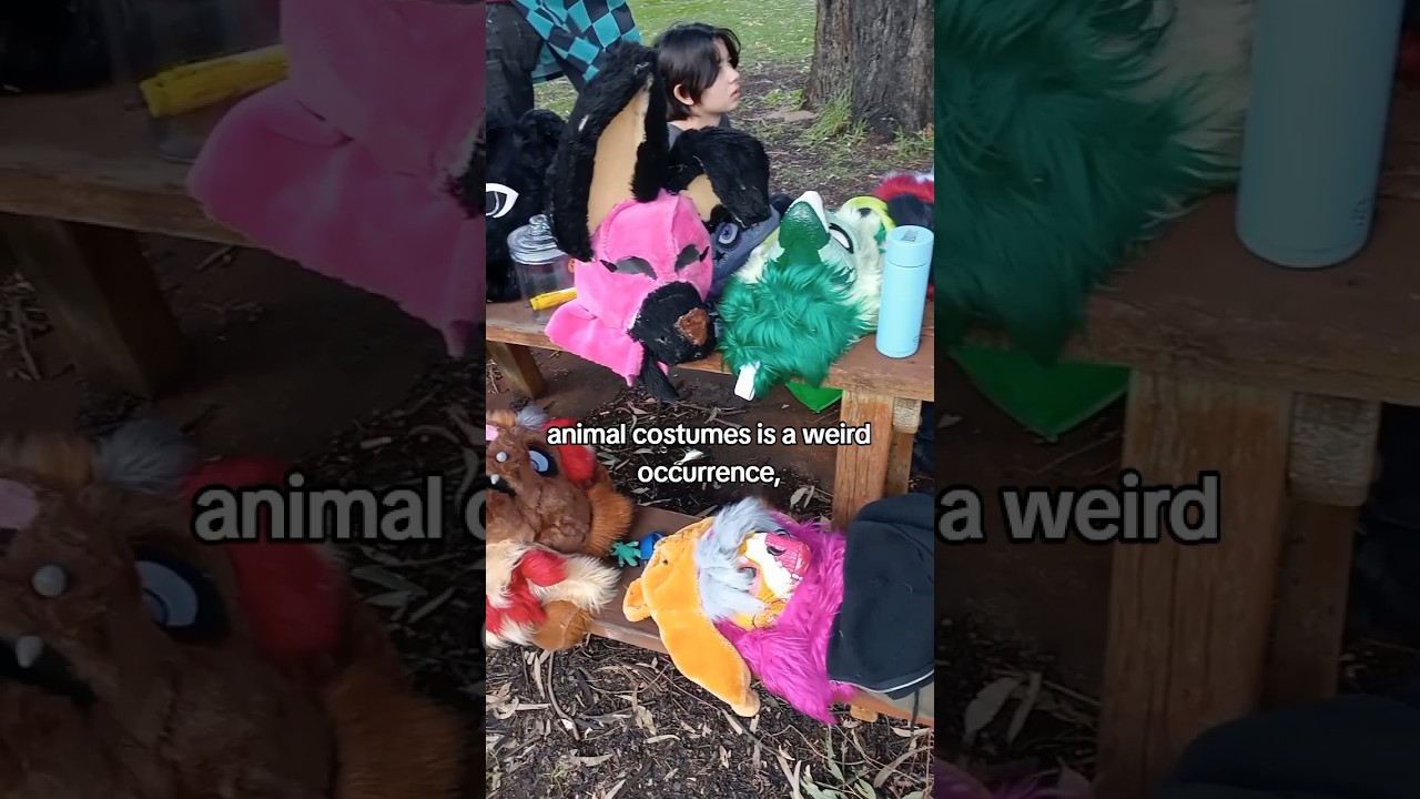 What to expect when public fursuiting!! 