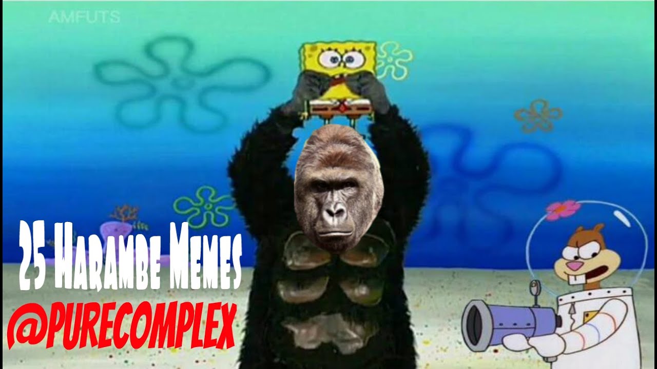 Top 25 Dank Harambe Memes (Compilation)