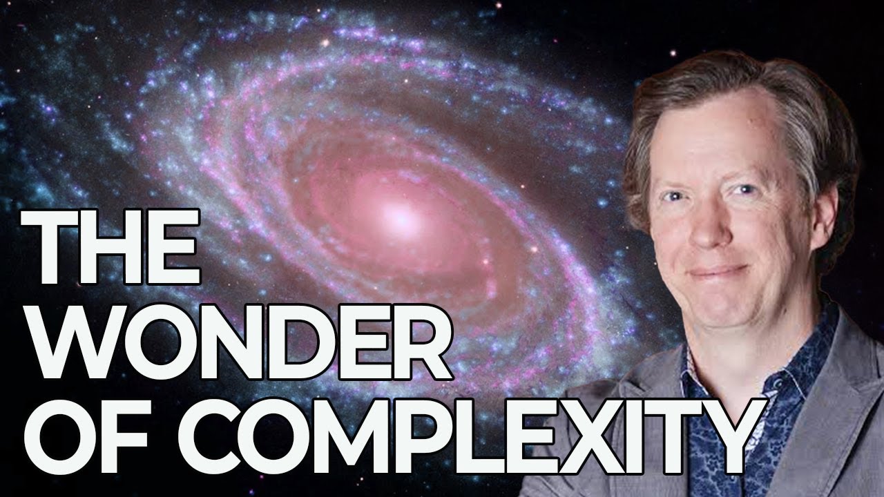 Sean Carroll on the Enigma of Complexity | Win-Win Podcast
