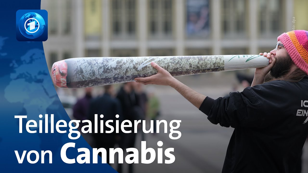 Teillegalisierung von Cannabis