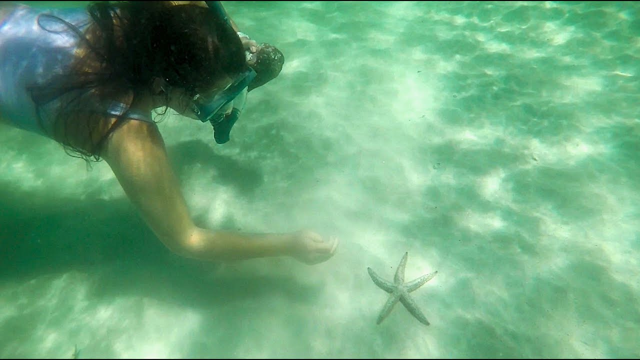CAPE TOWN SNORKELLING VLOG | firefighting helicopters, cafe, clear water & sea life