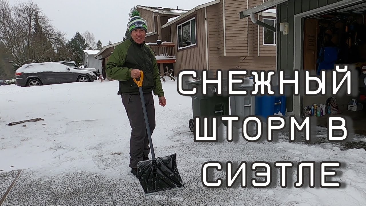Снежный шторм в Сиэтле | Спасение кота