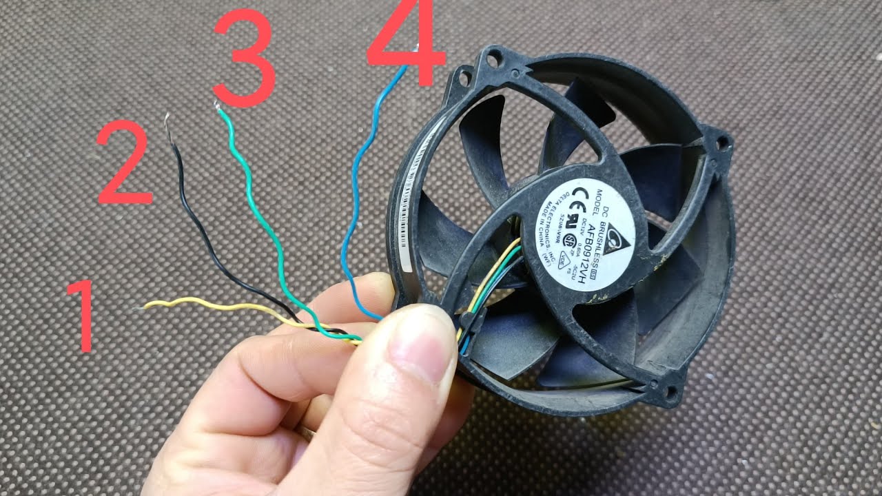 2 dây thường cắt vứt đi nhưng CỰC KỲ HAY