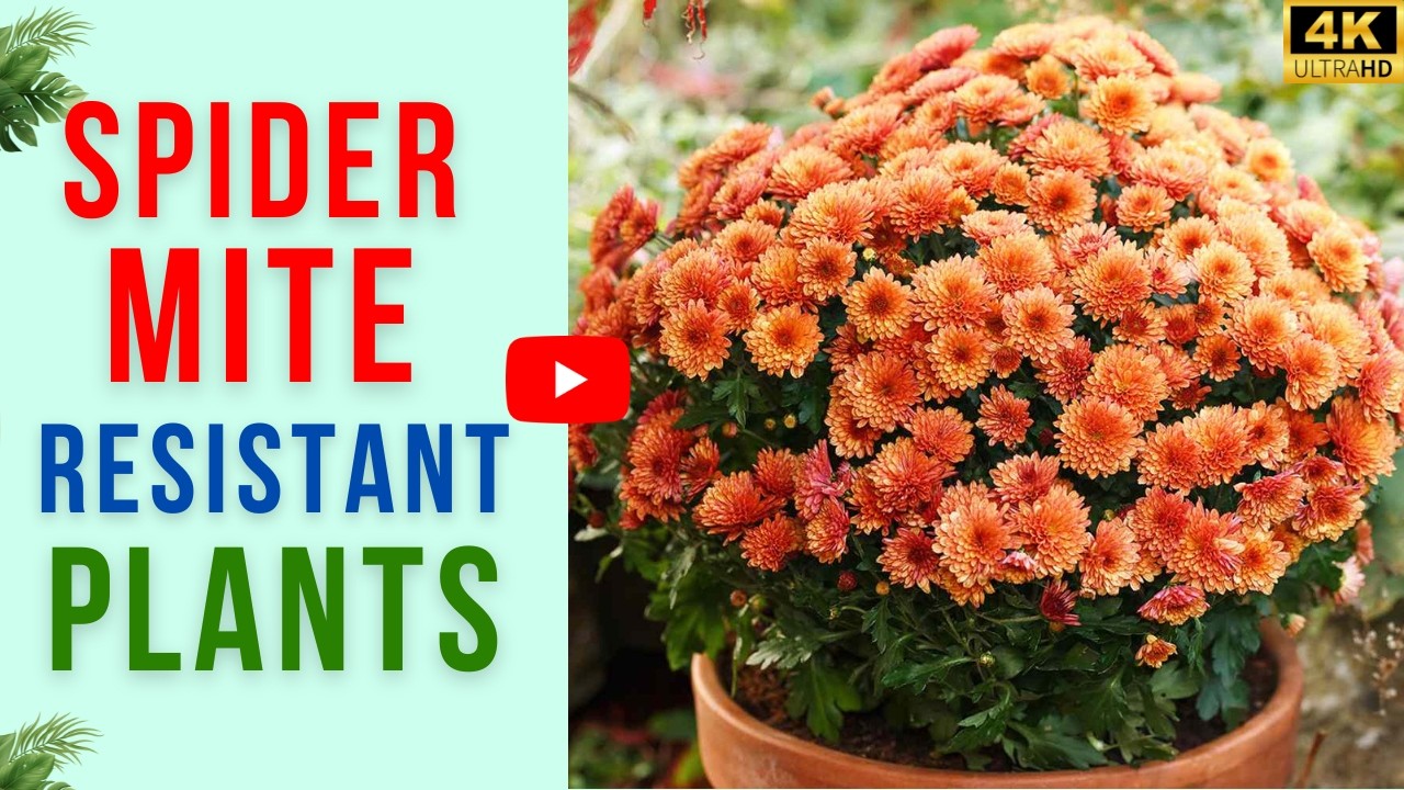 12 Plants That Resist Spider Mites Naturally | Natural Spider Mite Defense
