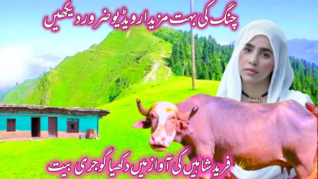 Dukhi gojri bait 2025:fareed Shaheen:dal doo hazar tu cha tori:new gojri bait :gojri Pahari video