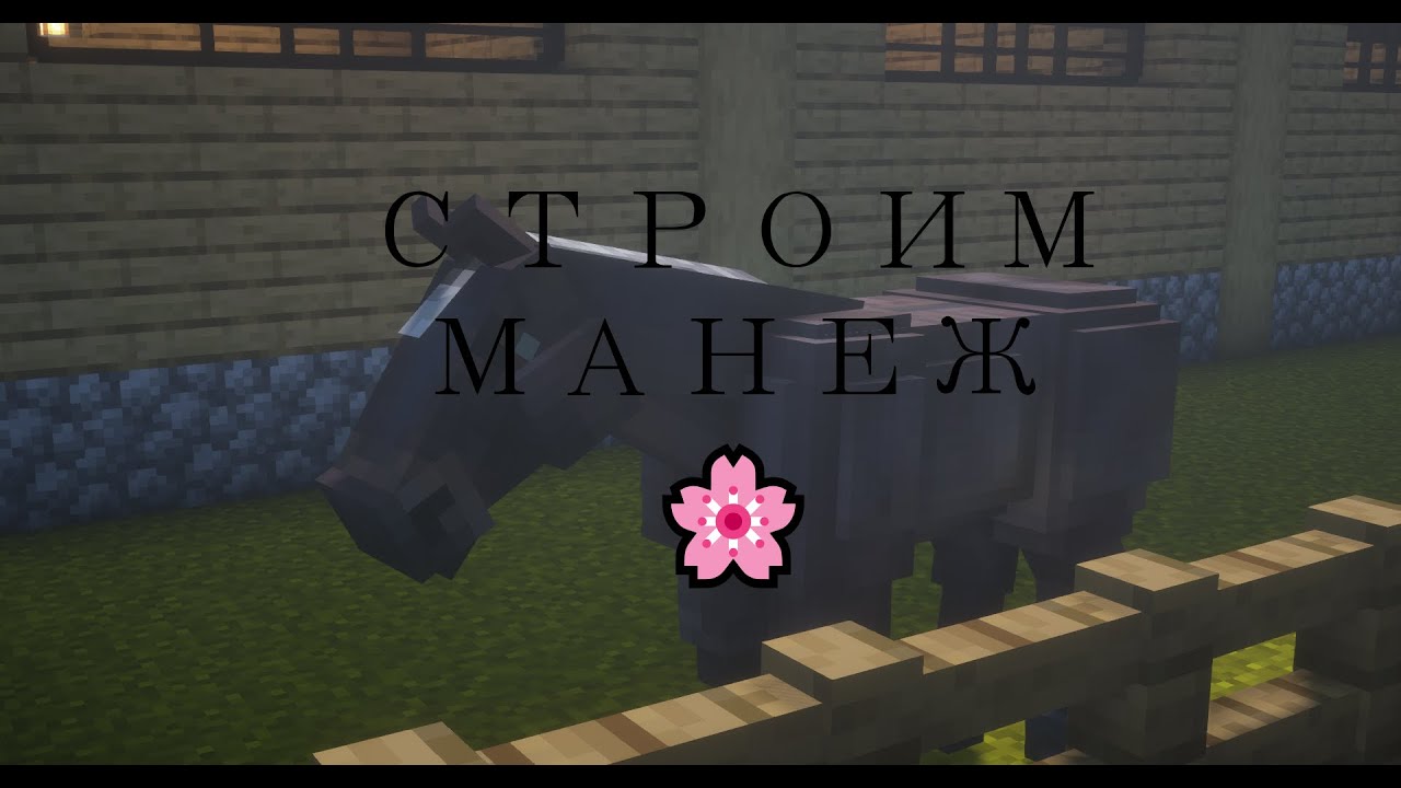 Строим манеж ~|~ 📖 1 ~|~