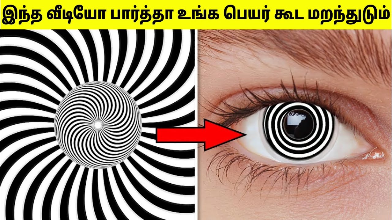 மிரளவைக்கும் இல்லுசன்கள் | Optical Illusions In Tamil | Mind Blowing Illusions | TAMIL AMAZING FACTS