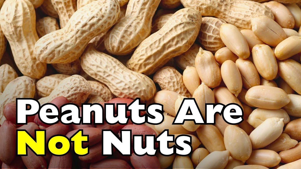 Peanuts Aren&rsquo;t Actually Nuts!