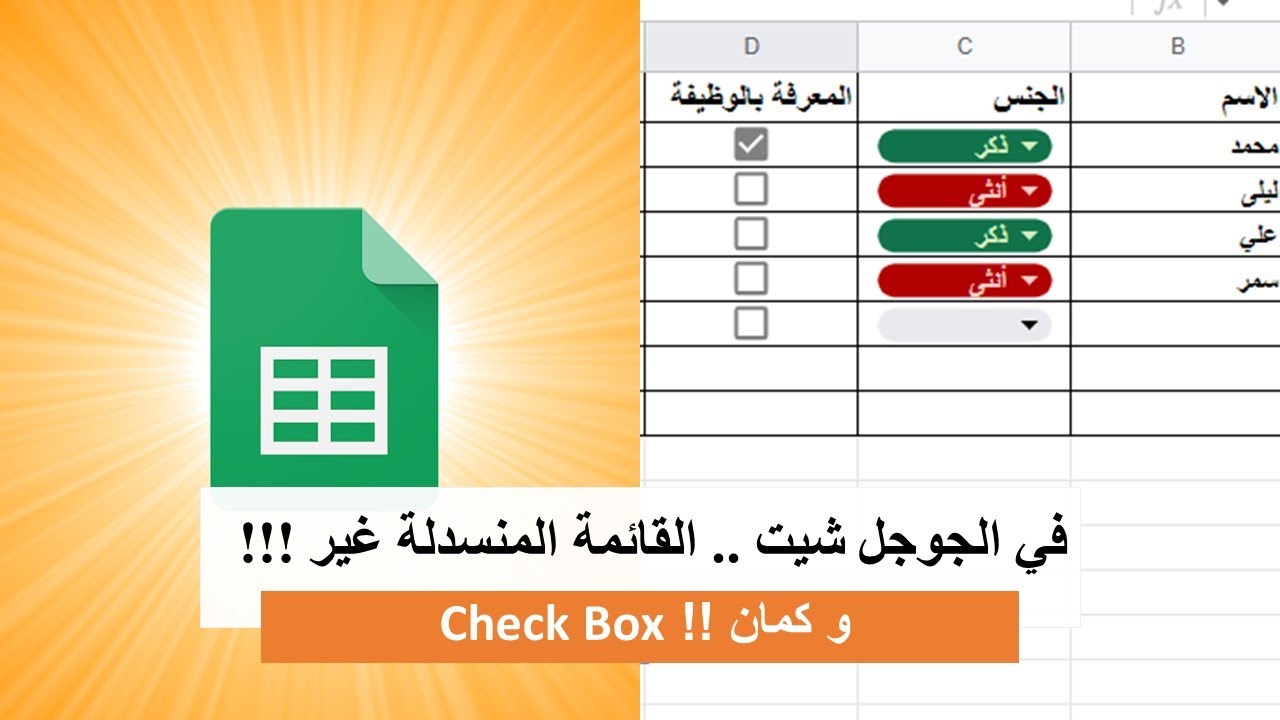 في الجوجل شيت القائمة المنسدلة مع ألوان ... و Chick Box  اشي فاخر