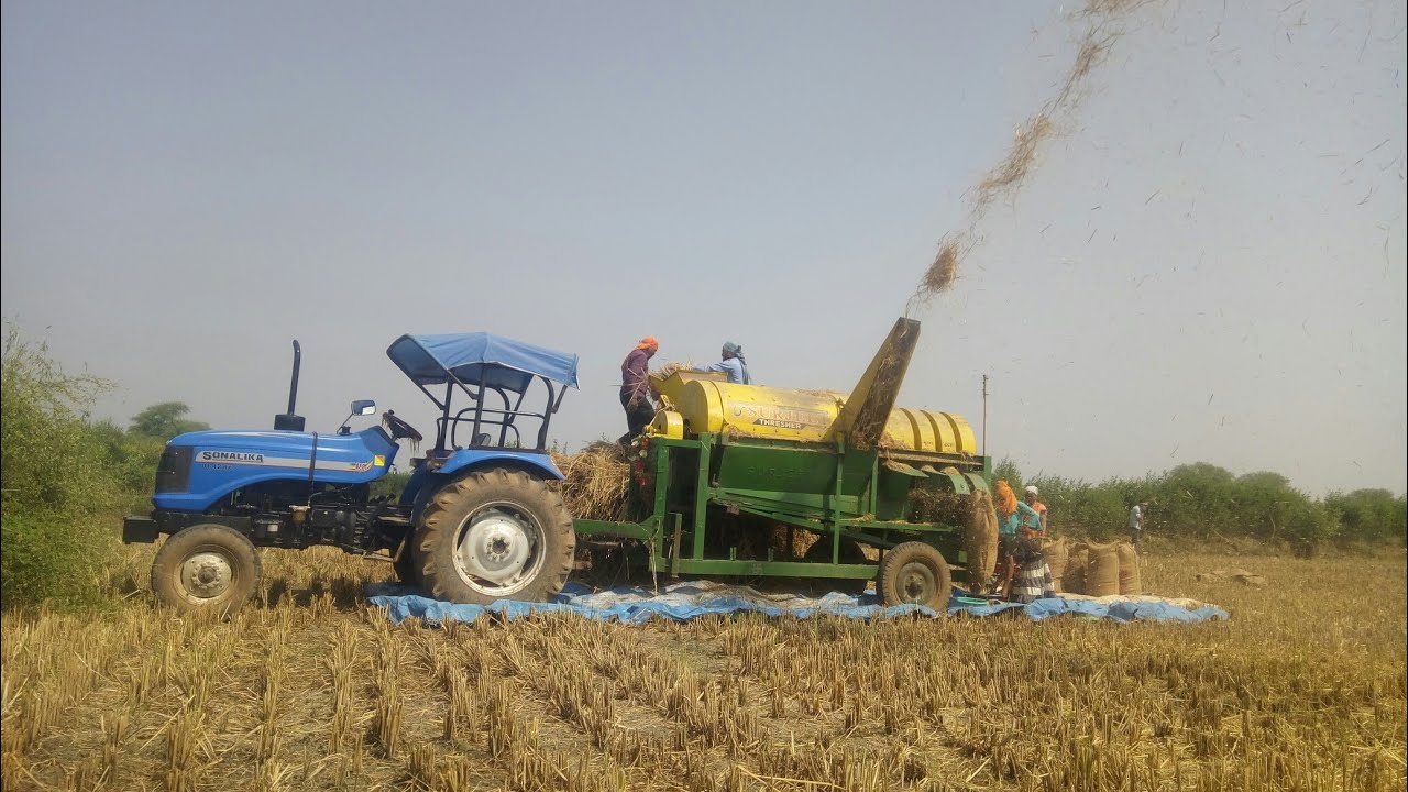 Sonlaka di 42 Rx VS Surjeet Thresher Rice Cutting Surjeet Thresher Video || @PramodsLife