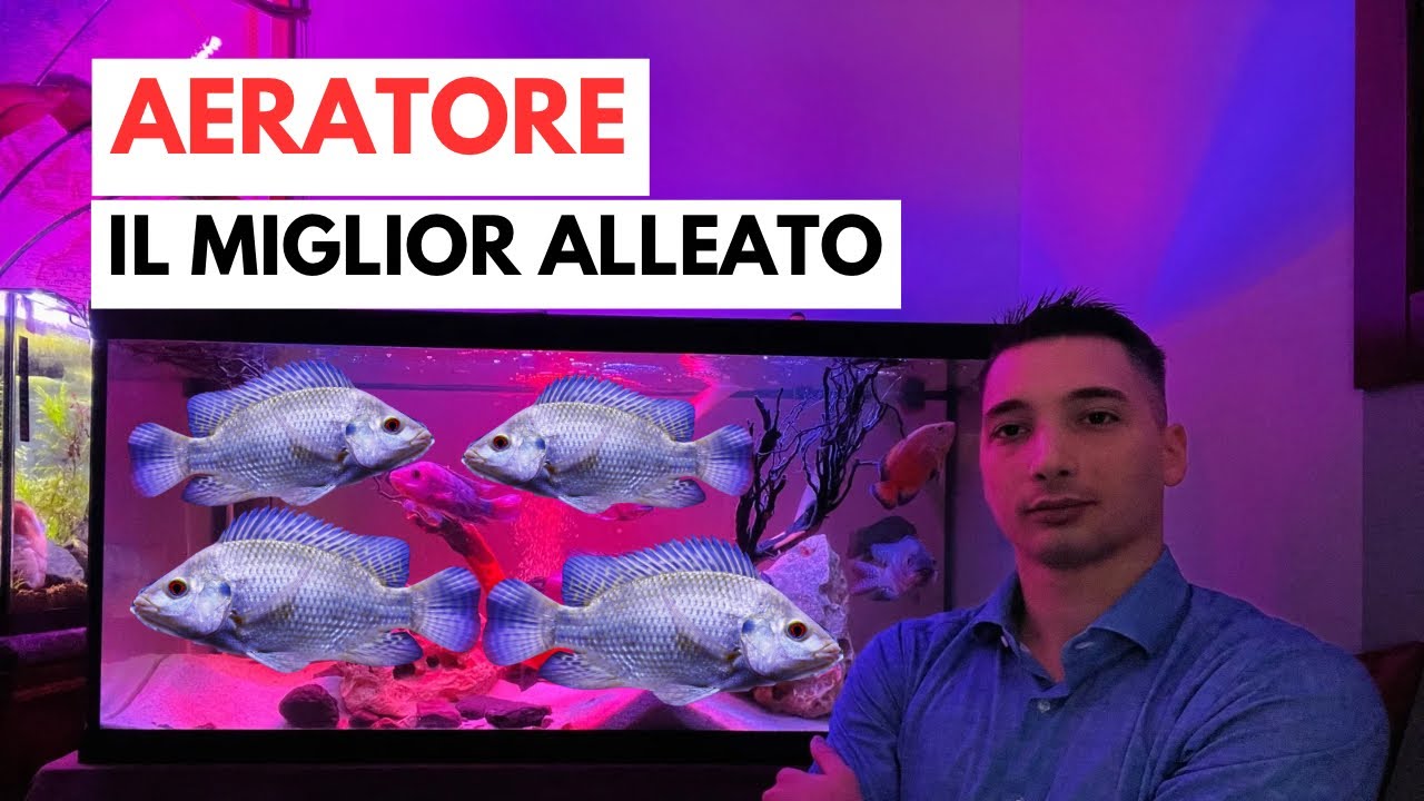 AERATORE utile in Acquario? Analizziamo TUTTE le situazioni!