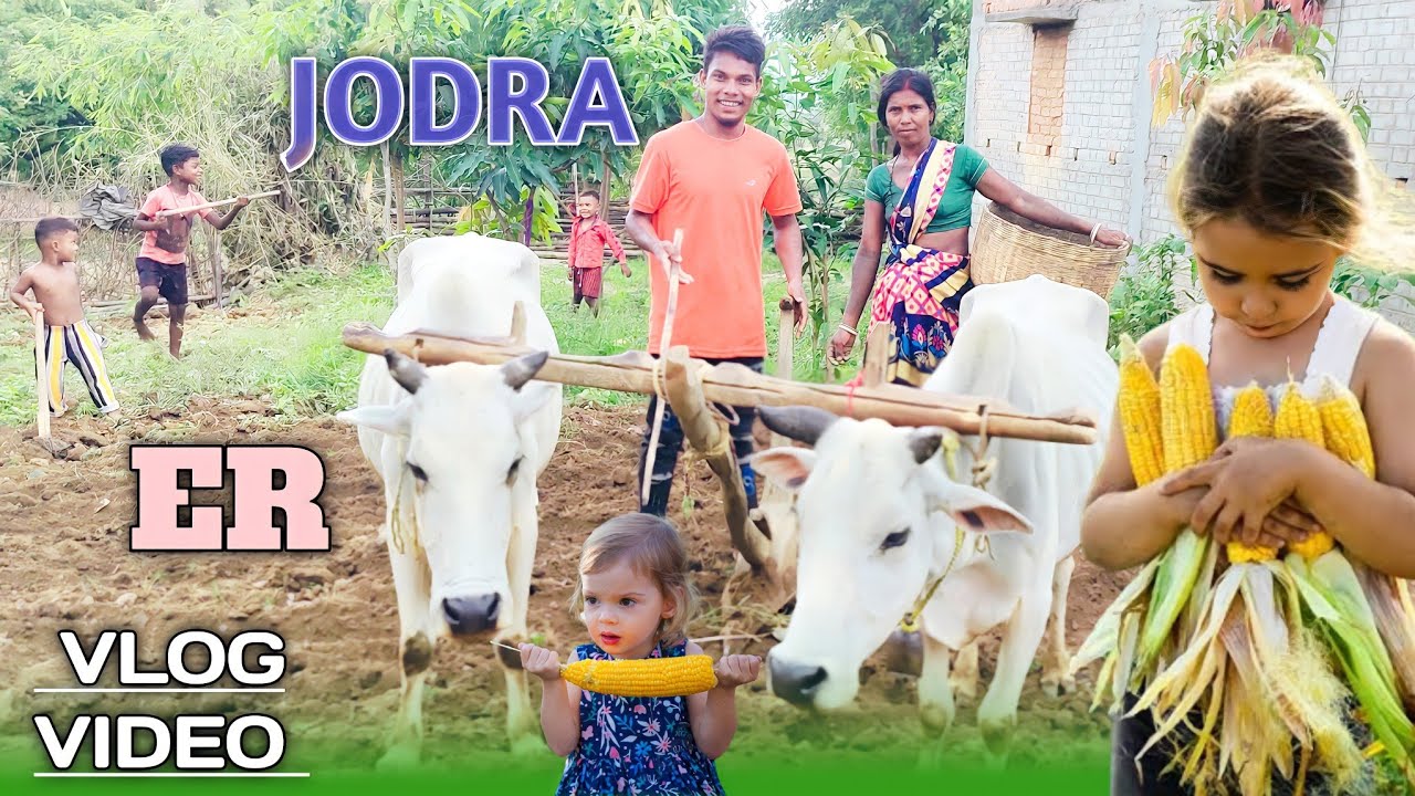 JODRA ER NEW  VLOG VIDEO ANIL PONDA 🌄